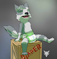 Goric diaper box by Goric