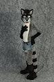 Coon suit by MaxRaccoon