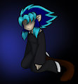 Used by YenriStar