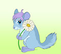 Spring Chinchilla by honeypup