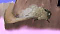 Spyro 1 - Day 14 - High Caves 1