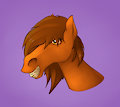 Venus Horse Head