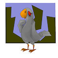 melancholic pigeon