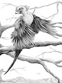 Let's Fly