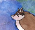 Kodiak by ParanoidKronic