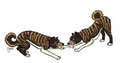 Tug of War