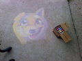 Shiba Chalk