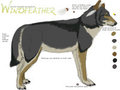 Windfeather Reference