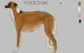 Vgolyok Reference