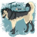Tundra