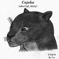Hand drawn Cajaka