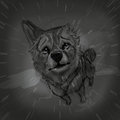 Talk to the Rain by LostWolfSpirit