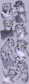 Sketch Full o' Spots by SpotTheCat