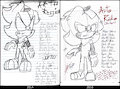 Shadow The Arto (2014/2016)