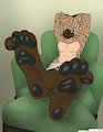 Hyena Paws