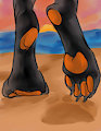 Beach Paws