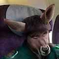 Down Unda Air by PheagleAdler