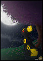 Beneath The Moonlight