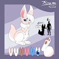 Hirama Ref Sheet