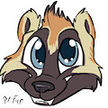 *C*_The many faces of Digger
