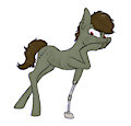 Drug Pony