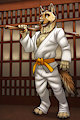 Fighter & Lover: Clothed by tsaiwolf