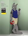 Kar Ref by Immelmann