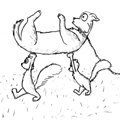 The squirrels are out in full force tonight 