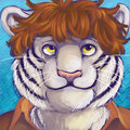 Icon - Tybolt! by Danikitty
