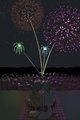 Only the Fireworks Can See Us