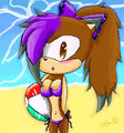 beach time by czarinathehedgehog