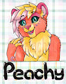[Badge] Peachy AC 2016