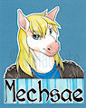 [Badge] Mechsae AC 2016