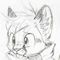 NFC 16 Stuff - Sketch by SilverFox
