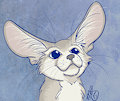 Little Fennic by Merebear