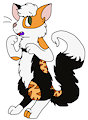 New Catsona! by FluffRig