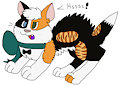 Angery Kitten by FluffRig
