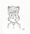 [Giftart] - For Joykill
