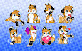 Parker Telegram Stickers