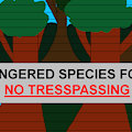 MLP Yu-Gi-Oh Card Art Forest of Endangered Species