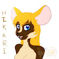 Hikari Face