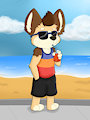 Vacation