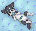 [C] Shy - Bleuw
