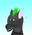 Novash Avatar by Novash