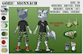 (commission) Gorig SFW Character Sheet by DakkaWoof