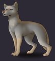 loldog