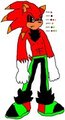 Havoc the hedgehog Ref by law1st