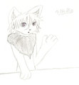 Namua The Cresant Moon Cat - OLD by RustyTheHusky