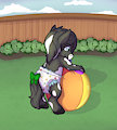 [C] Beachball in the grass