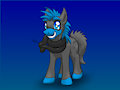 Ponysona